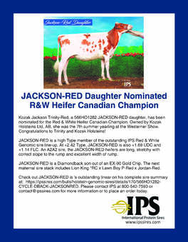 566ho1282 JACKSON-RED Daughter Nominated