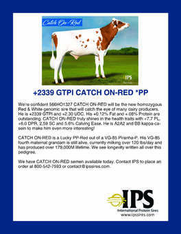 566HO1321 CATCH ON-RED *PP