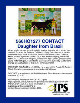 566HO1277 CONTACT Daughter from Brazil