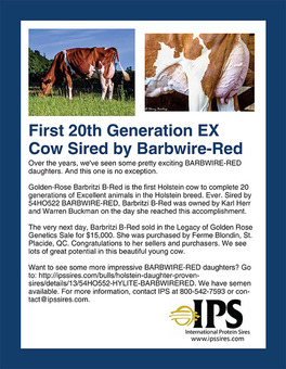First 20th Generation EX Cow Sired by Barbwire-Red