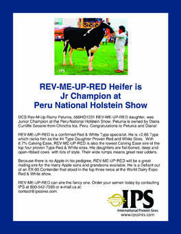 REV-ME-UP Daughter at Peru National Holstein Show