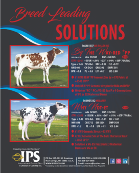 Breed Leading Solutions