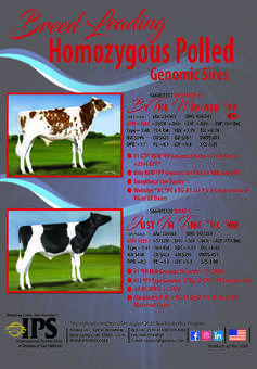 Breed-Leading Homozygous Polled - Holstein International 9.2020